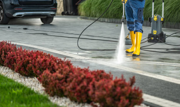 Best Solar Panel Cleaning  in Laurium, MI